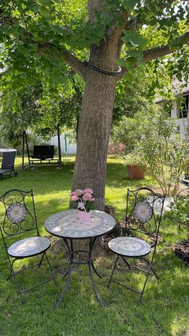 Charmantes Cottage Appartement Pottelsdorf ภายนอก รูปภาพ