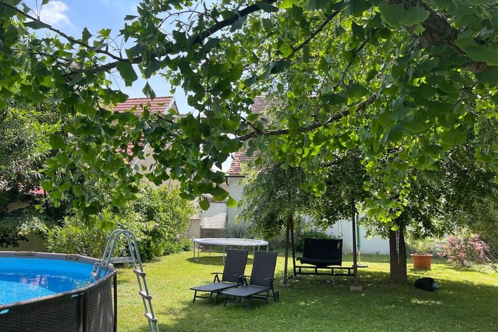 Charmantes Cottage Appartement Pottelsdorf ภายนอก รูปภาพ